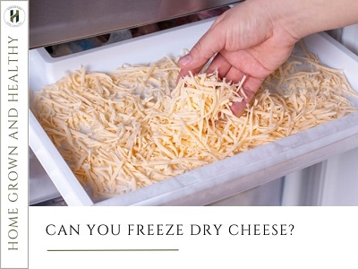 Can you freeze dry cheese