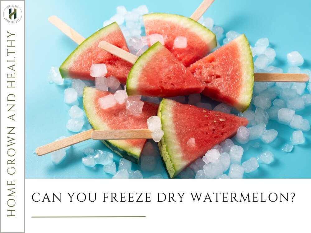 Can You Freeze Dry Watermelon